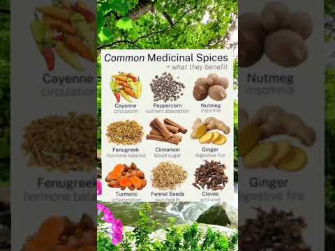 Unlock the healing power of spices! Learn how everyday spices boost your immune system.